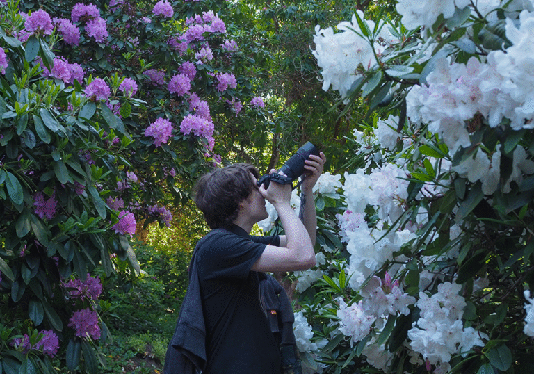 Untitled-1_0000_P5164696