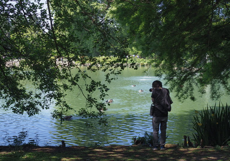 Untitled-1_0001_P5164649